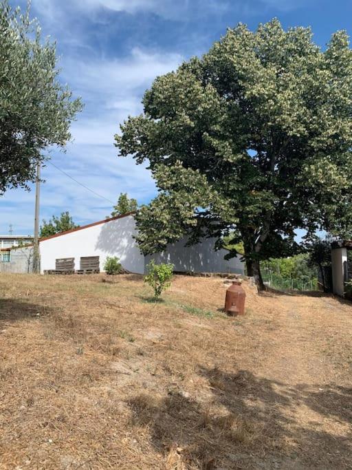 Casa Da Oliveira Vila Nelas Exterior foto